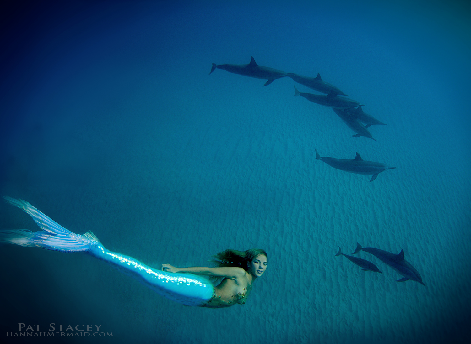 Dolphins - Hannah Mermaid