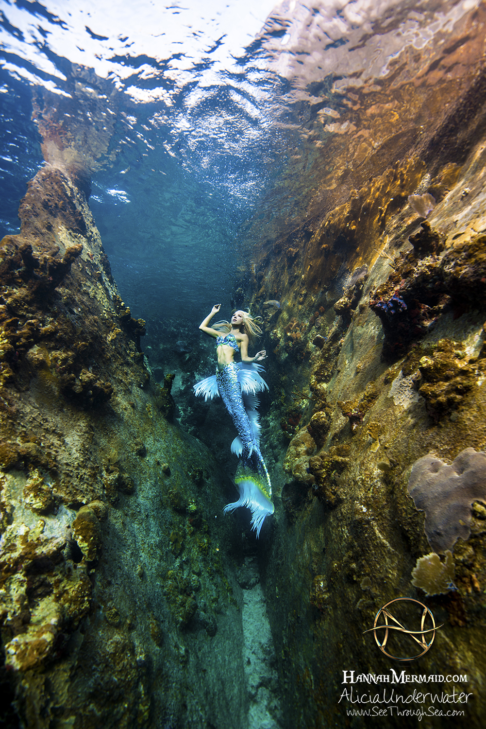 Underwater Mermaid Model - Hannah Mermaid